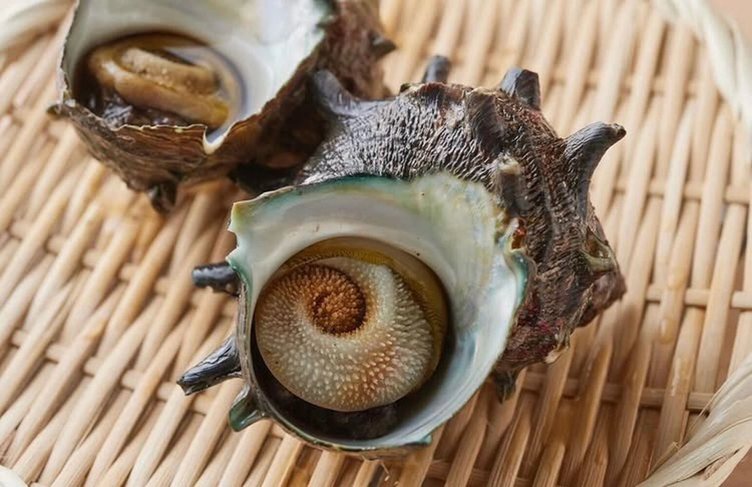 ブログ