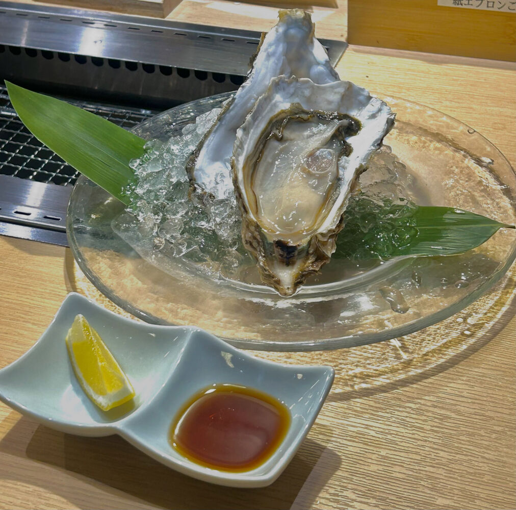 ブログ